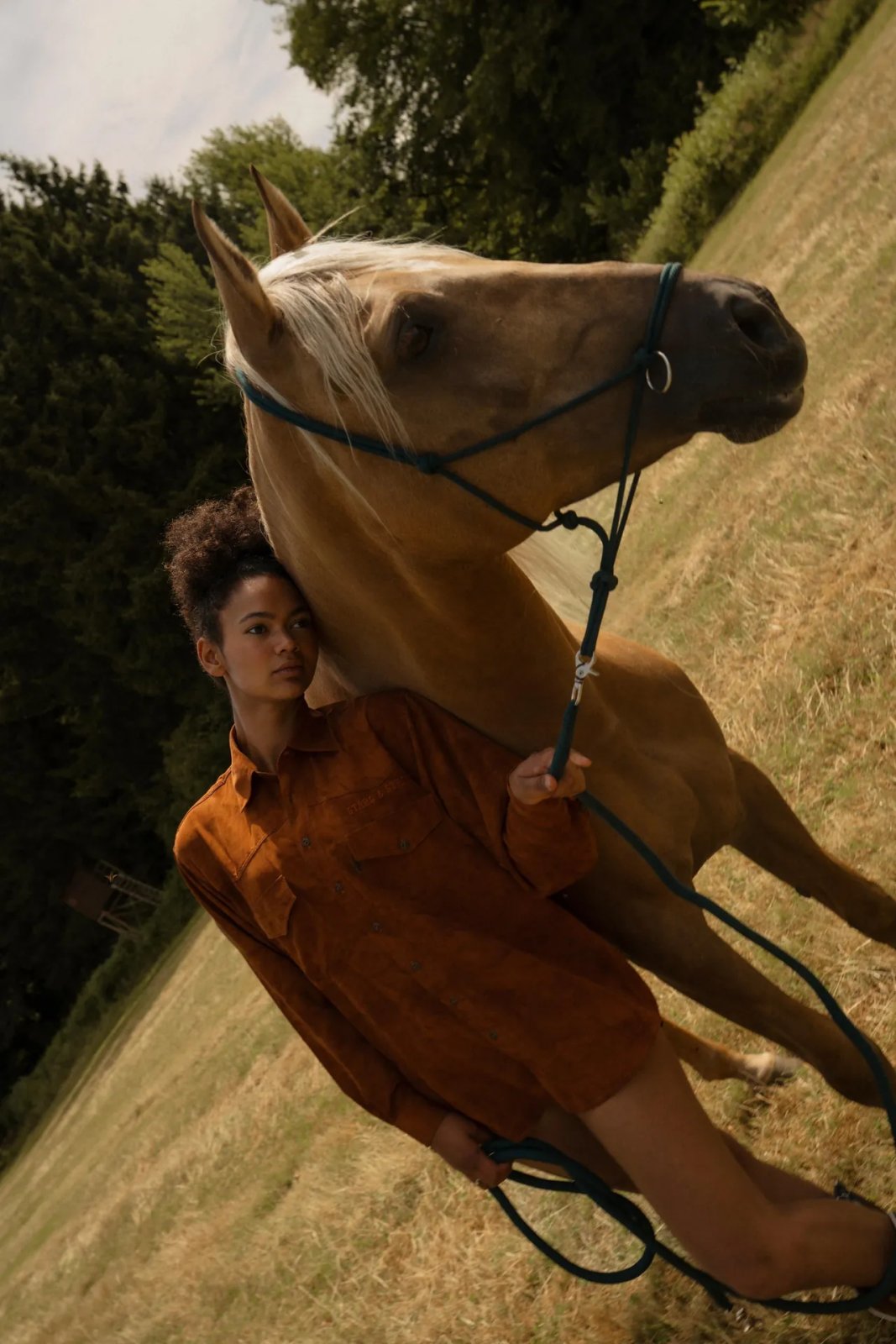 new-palomino.webp