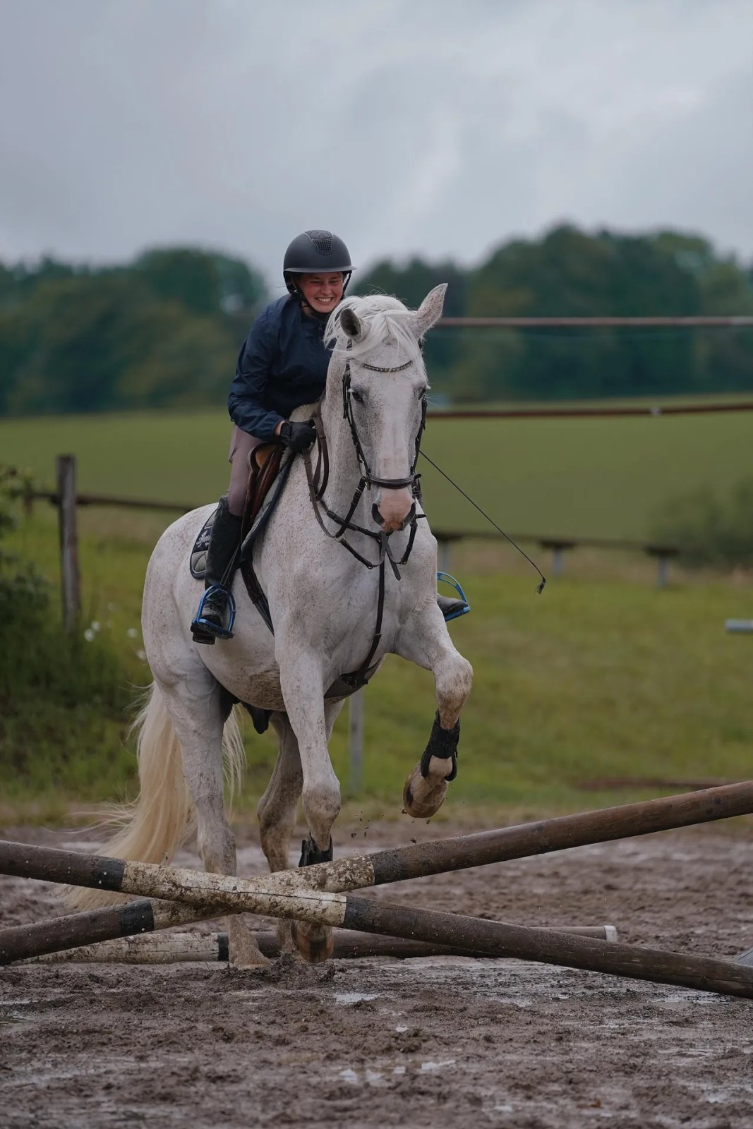 new-springreiten-1.webp