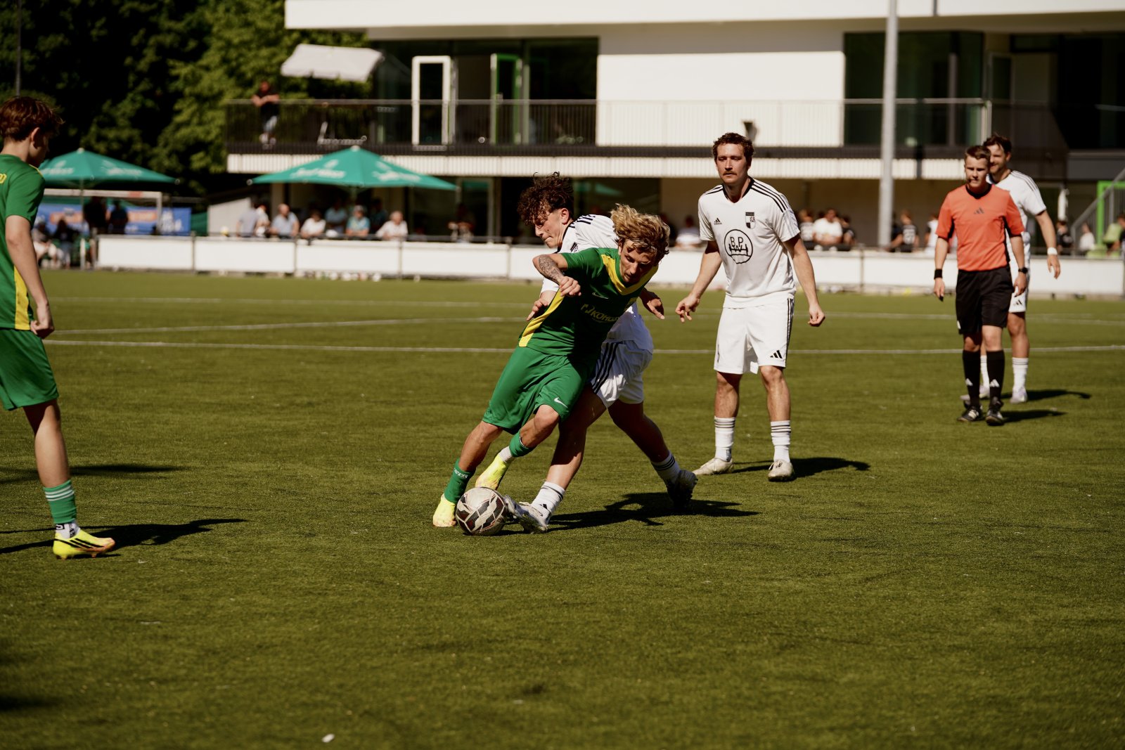 IMG_2917.jpg